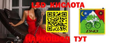 гашик Сланцы