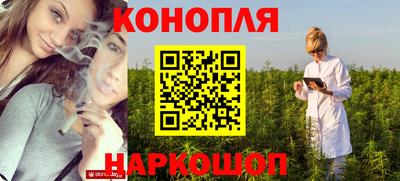 гашик Сланцы
