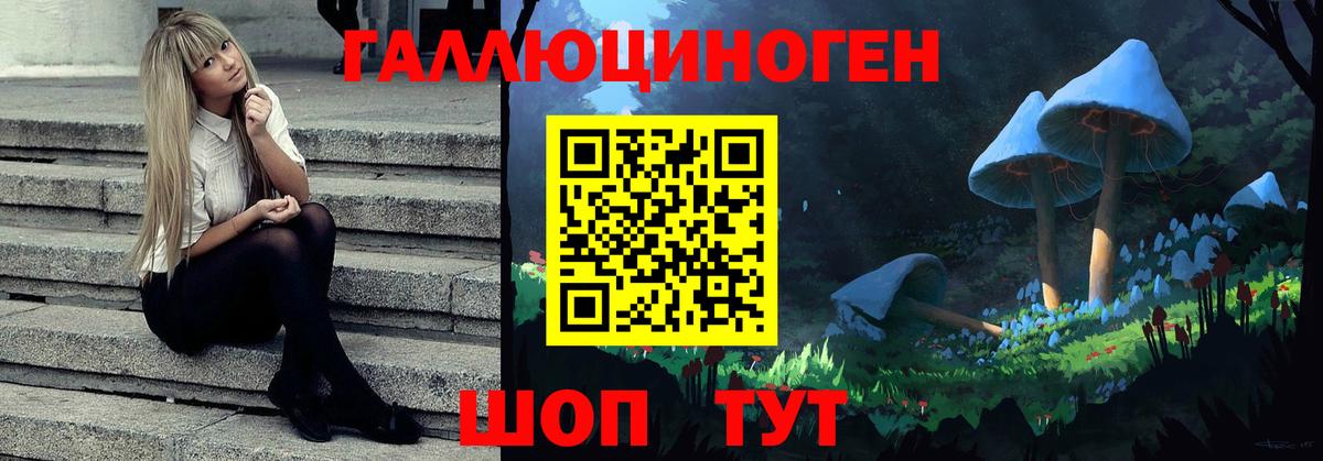 Галлюциногенные грибы Magic Shrooms  Вход с VPN  Полысаево  Псилоцибиновые грибы GOLDEN TEACHER 